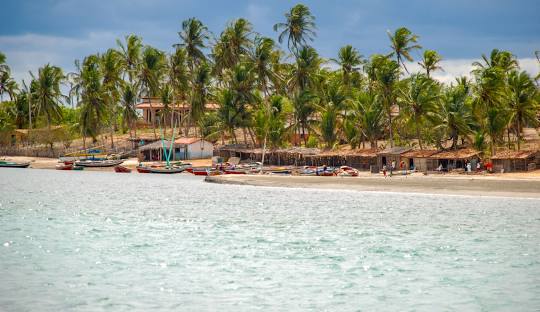 Top 5 Destinos no Brasil Jericoacoara